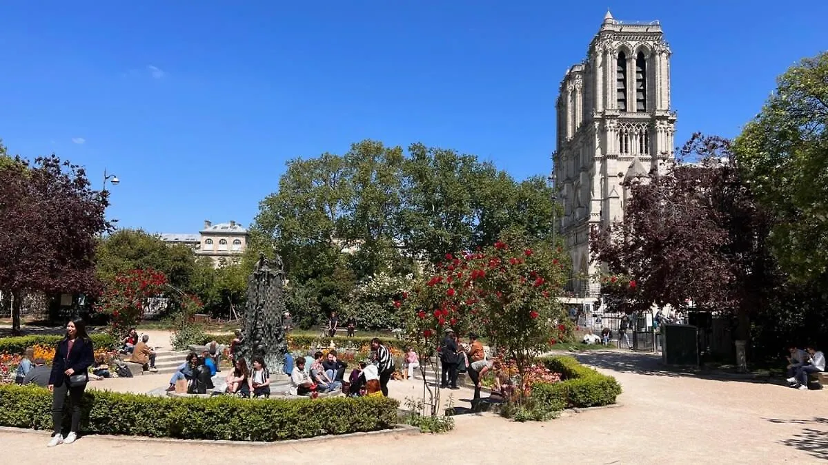 Serenity, Meditation At Notre Dame Apartment *