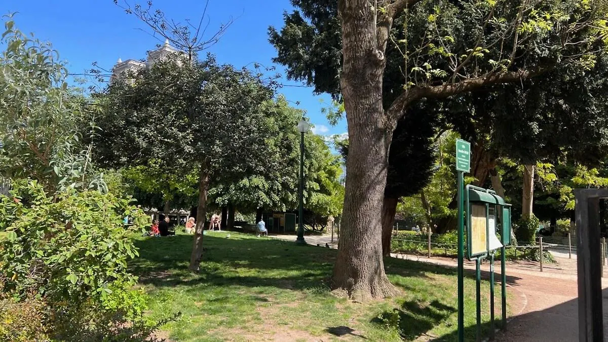 Serenity, Meditation At Notre Dame 아파트 파리