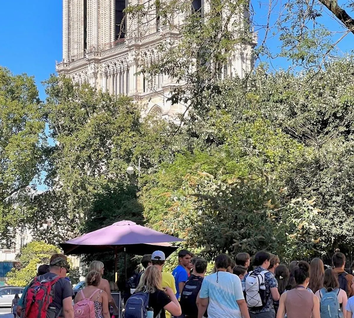 Serenity, Meditation At Notre Dame Apartment *
