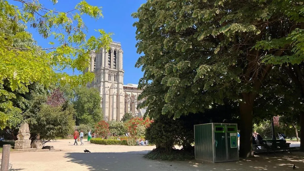 Serenity, Meditation At Notre Dame Paris