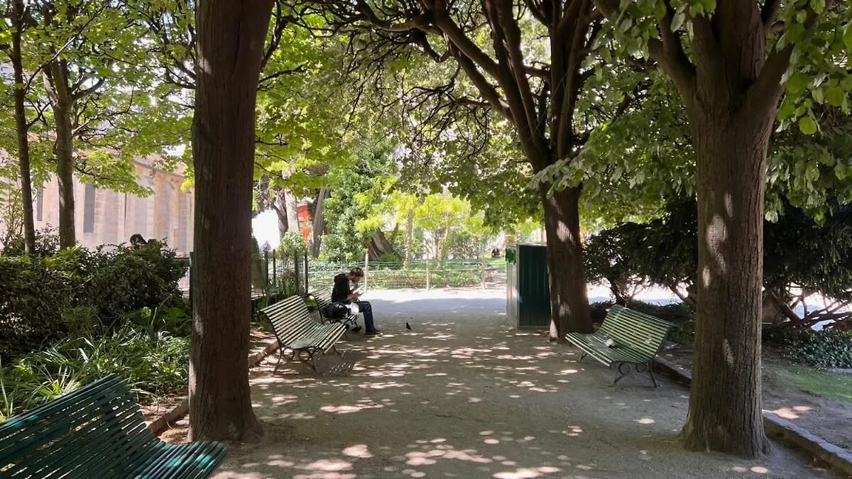 Serenity, Meditation At Notre Dame Daire *